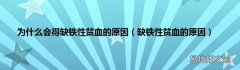 缺铁性贫血的原因 为什么会得缺铁性贫血的原因