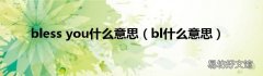 bl什么意思 bless you什么意思