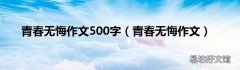 青春无悔作文 青春无悔作文500字