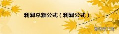 利润公式 利润总额公式