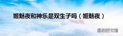 姬魅夜 姬魅夜和神乐是双生子吗