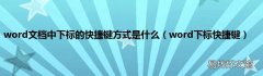 word下标快捷键 word文档中下标的快捷键方式是什么