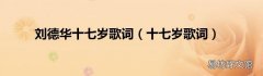 十七岁歌词 刘德华十七岁歌词