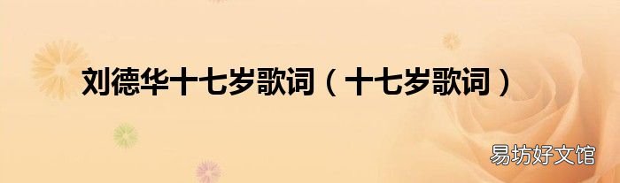 十七岁歌词 刘德华十七岁歌词