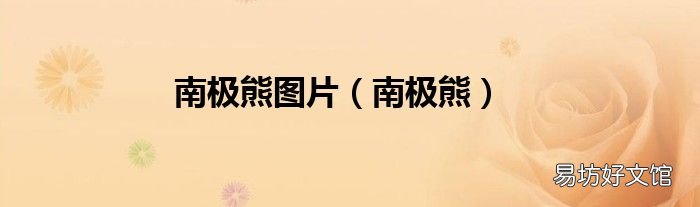 南极熊 南极熊图片