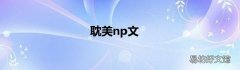 耽美np文