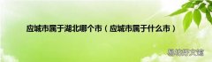 应城市属于什么市 应城市属于湖北哪个市