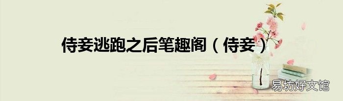 侍妾 侍妾逃跑之后笔趣阁