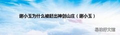 谢小玉 谢小玉为什么被赶出神剑山庄
