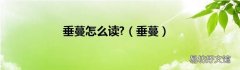 垂蔓 垂蔓怎么读?