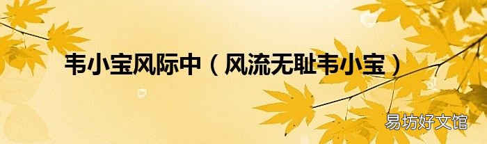 风流无耻韦小宝 韦小宝风际中