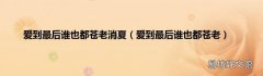 爱到最后谁也都苍老 爱到最后谁也都苍老消夏