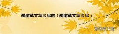 谢谢英文怎么写 谢谢英文怎么写的