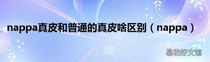 nappa nappa真皮和普通的真皮啥区别