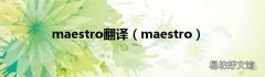 maestro maestro翻译