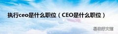 CEO是什么职位 执行ceo是什么职位