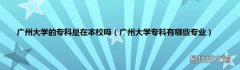 广州大学专科有哪些专业 广州大学的专科是在本校吗
