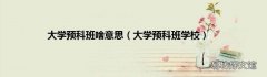大学预科班学校 大学预科班啥意思