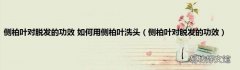 侧柏叶对脱发的功效 侧柏叶对脱发的功效 如何用侧柏叶洗头