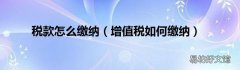 增值税如何缴纳 税款怎么缴纳