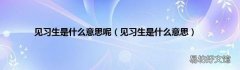 见习生是什么意思 见习生是什么意思呢