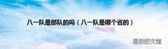 八一队是哪个省的 八一队是部队的吗