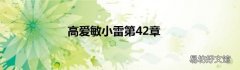高爱敏小雷第42章