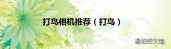 打鸟 打鸟相机推荐
