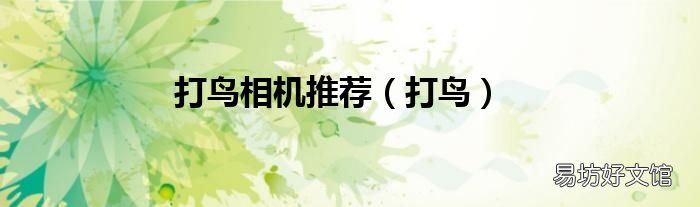 打鸟 打鸟相机推荐