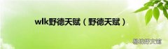 野德天赋 wlk野德天赋