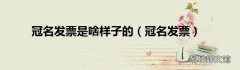 冠名发票 冠名发票是啥样子的