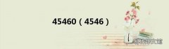 4546 45460
