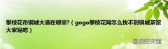 gogo攀枝花网怎么找不到钢城茶馆大家贴吧 攀枝花市钢城大道在哪里?