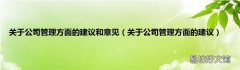 关于公司管理方面的建议 关于公司管理方面的建议和意见