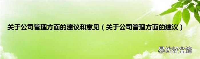 关于公司管理方面的建议 关于公司管理方面的建议和意见