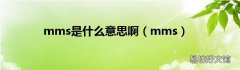 mms mms是什么意思啊