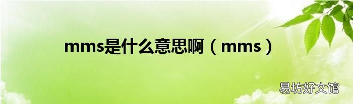 mms mms是什么意思啊