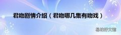 君吻哪几集有吻戏 君吻剧情介绍
