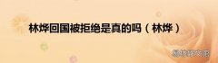 林烨 林烨回国被拒绝是真的吗