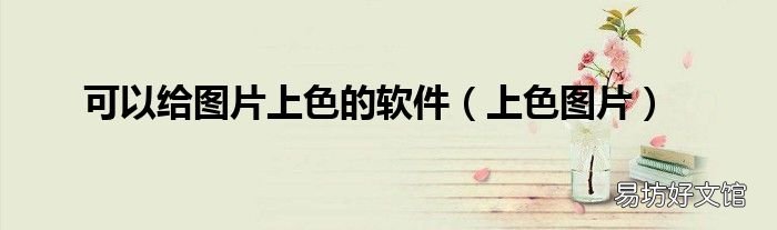 上色图片 可以给图片上色的软件