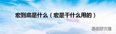 宏是干什么用的 宏到底是什么
