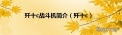 歼十c 歼十c战斗机简介