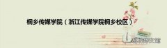 浙江传媒学院桐乡校区 桐乡传媒学院