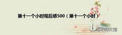 第十一个小时 第十一个小时观后感500