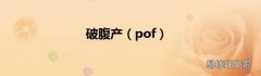 pof 破腹产