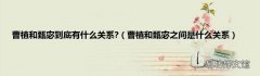 曹植和甄宓之间是什么关系 曹植和甄宓到底有什么关系?