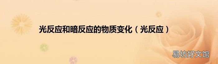 光反应 光反应和暗反应的物质变化