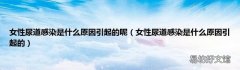 女性尿道感染是什么原因引起的 女性尿道感染是什么原因引起的呢