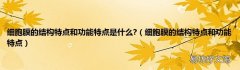 细胞膜的结构特点和功能特点 细胞膜的结构特点和功能特点是什么?