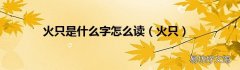 火只 火只是什么字怎么读